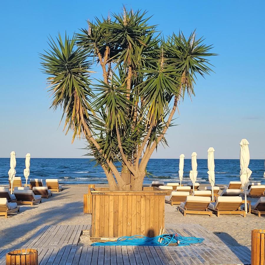 Studio Beach Residence Năvodari Eksteriør billede